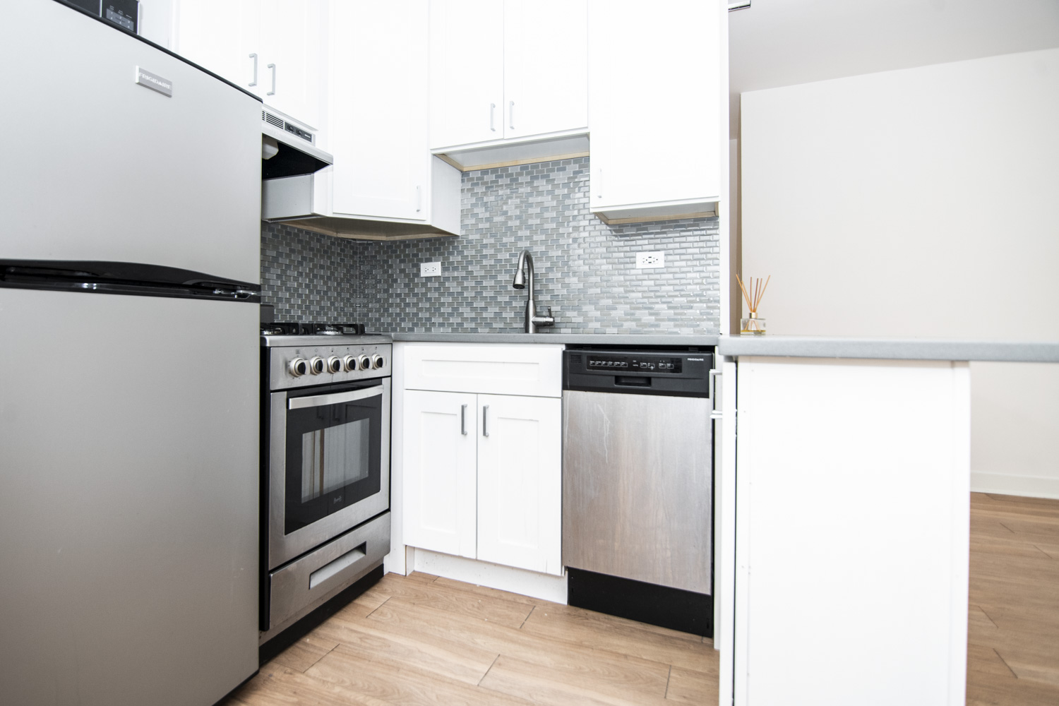 511 W Belmont Ave Apt 2, Chicago IL properties 511-w-belmont-chicago-il-60657-lake-view 511-2