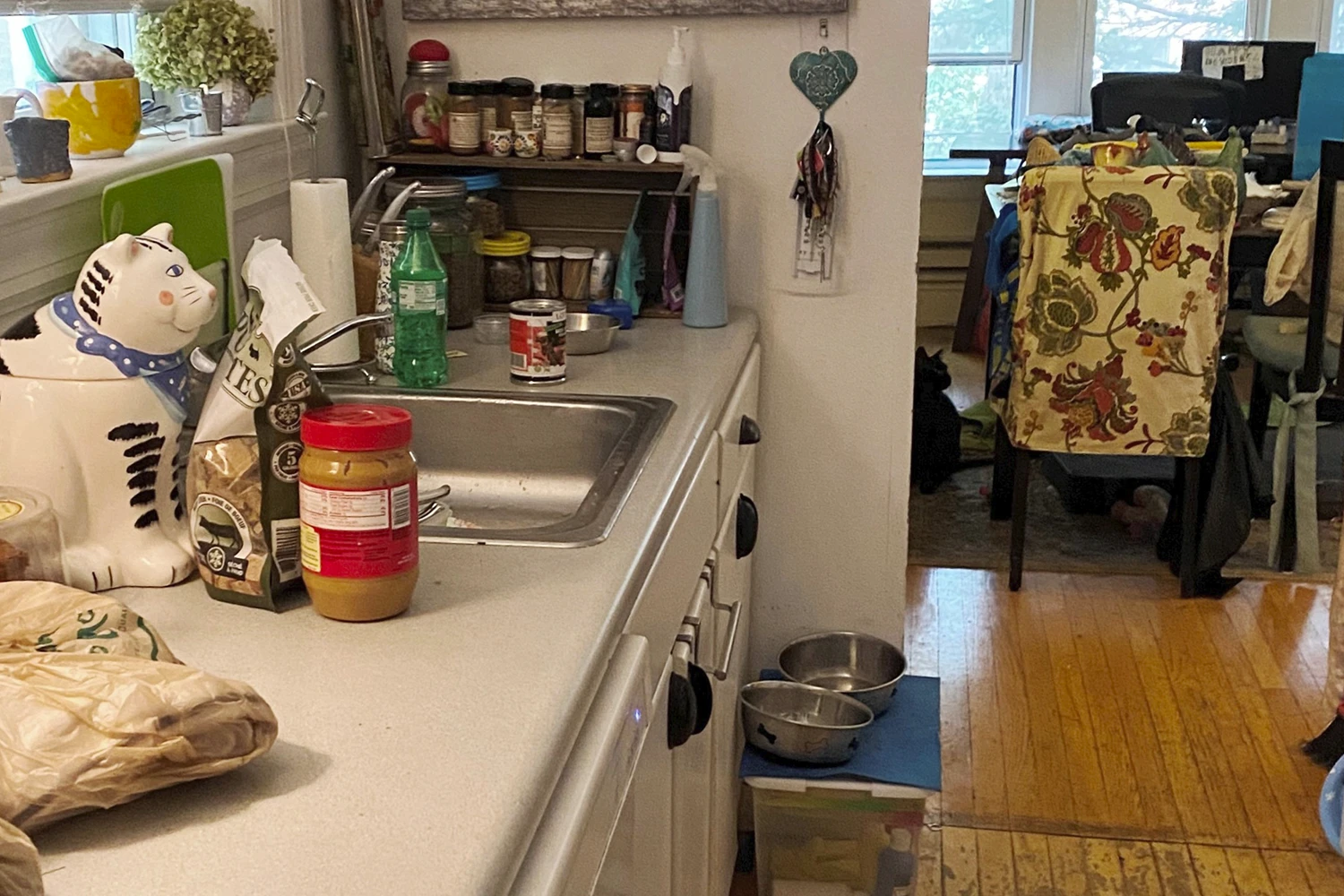 1132 Maple Ave Apt 1, Evanston IL properties 1130-maple-ave-st-evanston-il-60202 1132-1