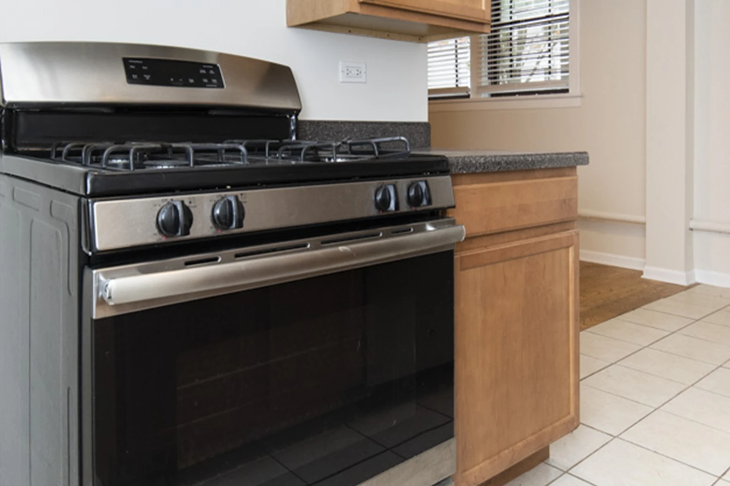 1253 W Henderson St Apt G, Chicago IL properties 3323-25-n-lakewood-chicago-il-60657-lake-view 1253-g