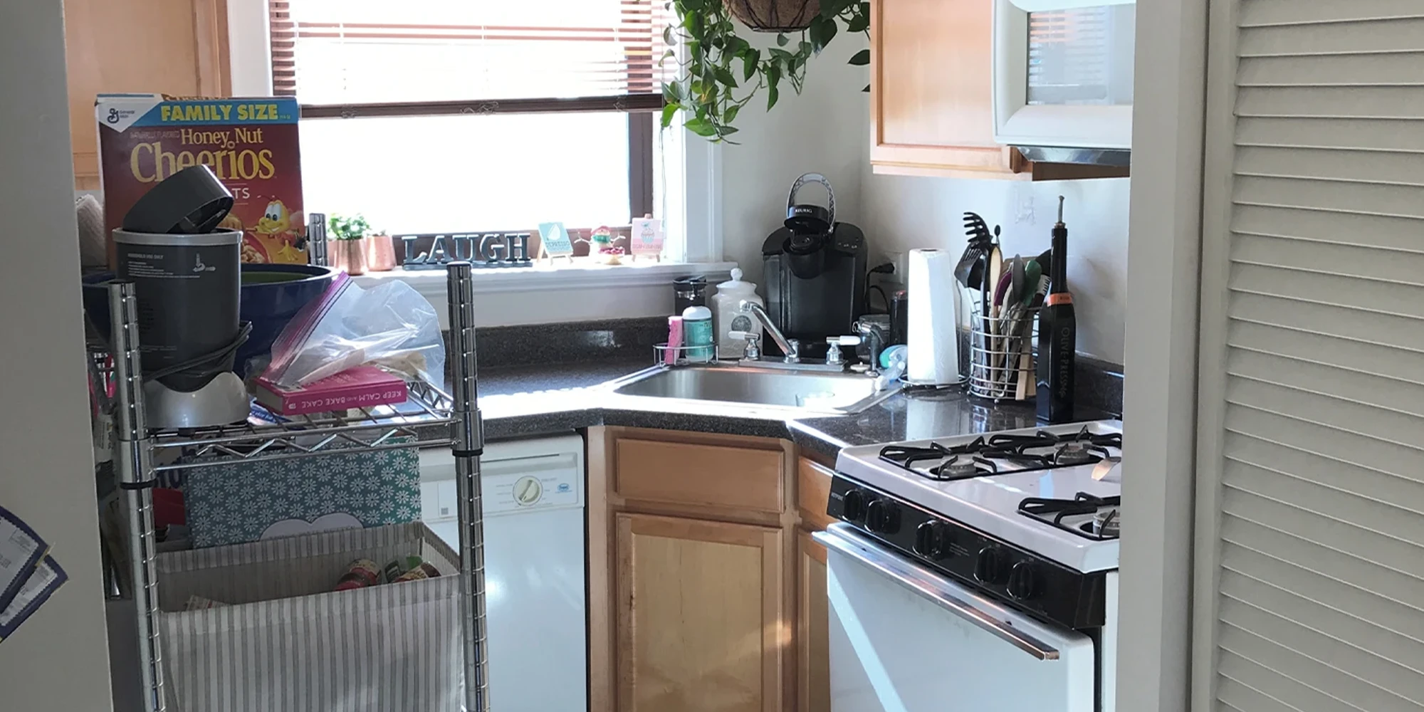 1255 W Henderson St Apt 3, Chicago IL properties 3323-25-n-lakewood-chicago-il-60657-lake-view 1255-3