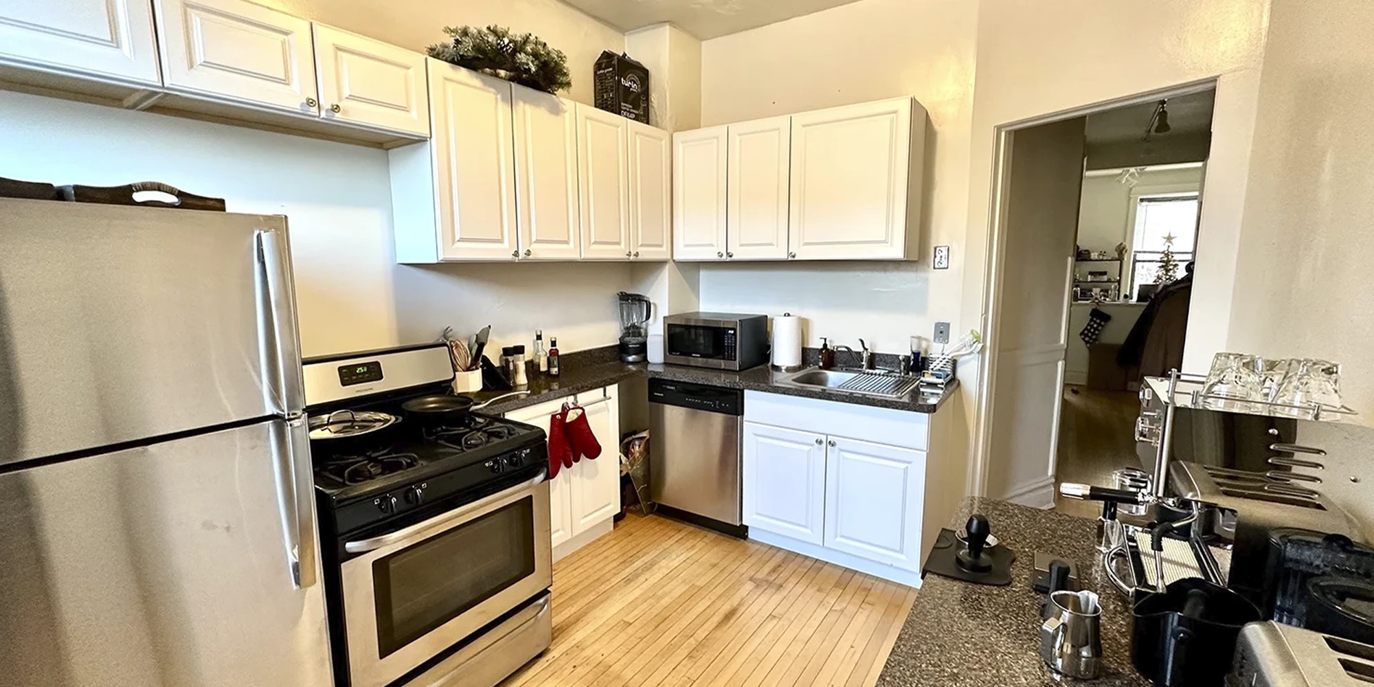 2905 N Mildred Ave Apt 3, Chicago IL properties 2905-09-n-mildred-chicago-il-60657-lake-view 2905-3