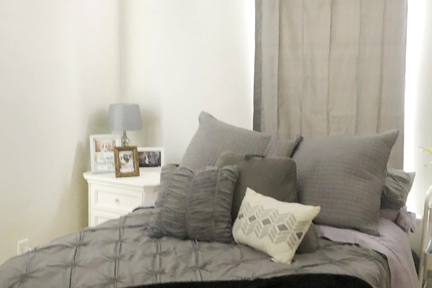 2909 N Mildred Ave Apt 2, Chicago IL properties 2905-09-n-mildred-chicago-il-60657-lake-view 2909-2   