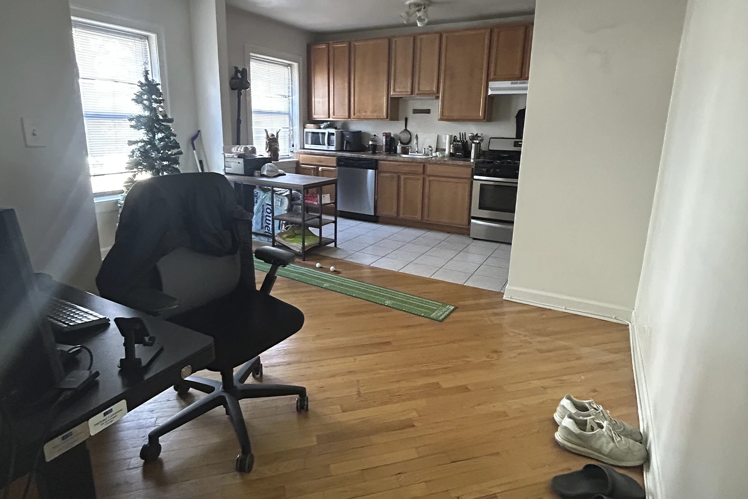 3325 N Lakewood Ave Apt 1, Chicago IL properties 3323-25-n-lakewood-chicago-il-60657-lake-view 3325-1   