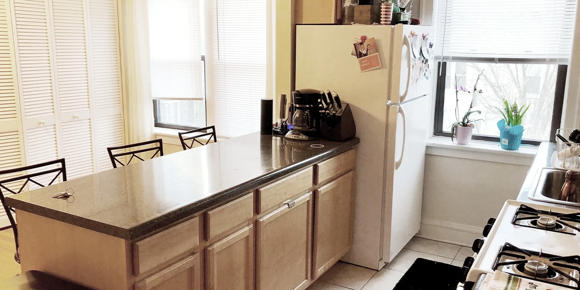 3325 N Lakewood Ave Apt 3, Chicago IL properties 3323-25-n-lakewood-chicago-il-60657-lake-view 3325-3
