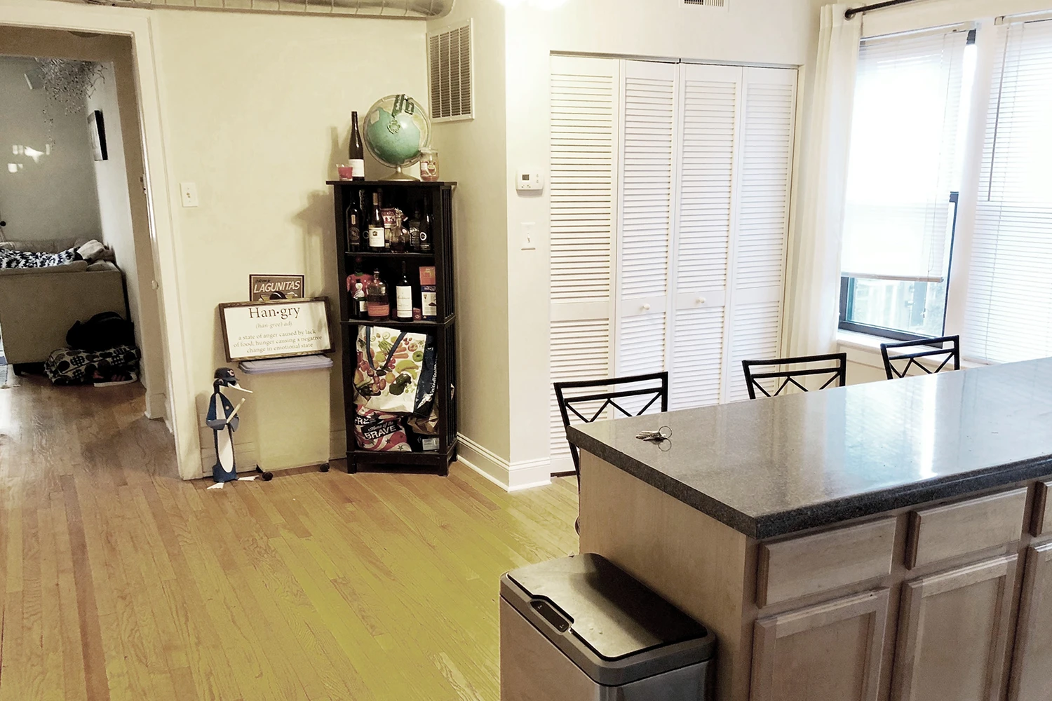 3325 N Lakewood Ave Apt 3, Chicago IL properties 3323-25-n-lakewood-chicago-il-60657-lake-view 3325-3