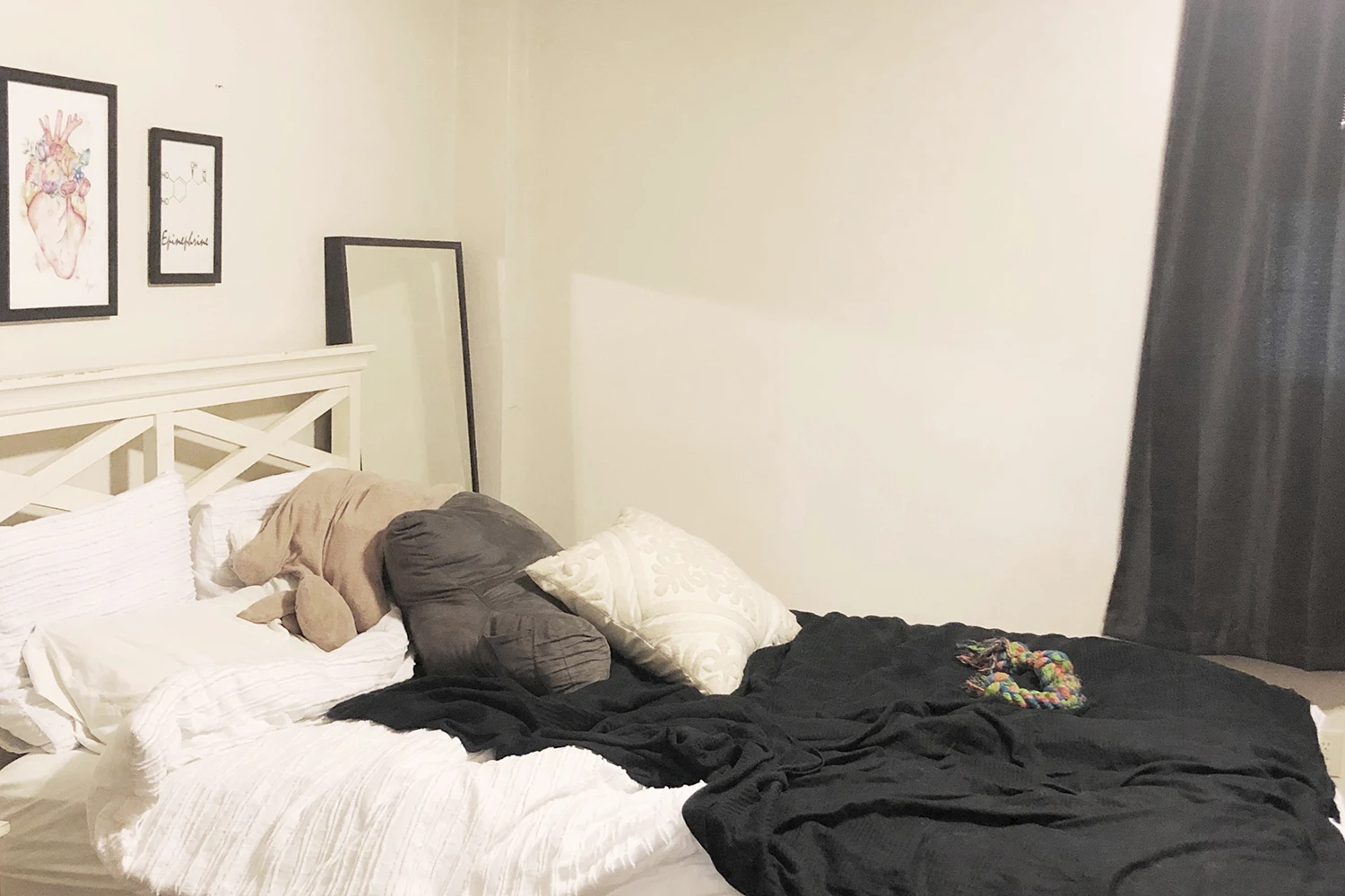 3325 N Lakewood Ave Apt G, Chicago IL properties 3323-25-n-lakewood-chicago-il-60657-lake-view 3325-g