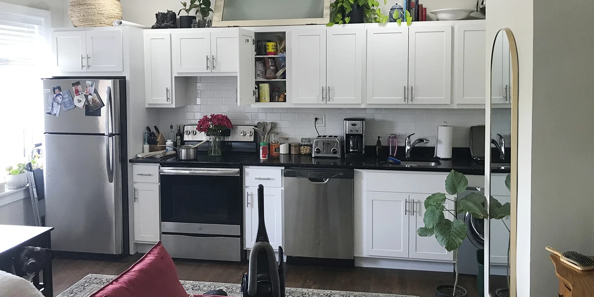 3345 N Marshfield Ave Apt 405, Chicago IL properties 3345-47-n-marshfield-chicago-il-60657-lake-view 3345-405