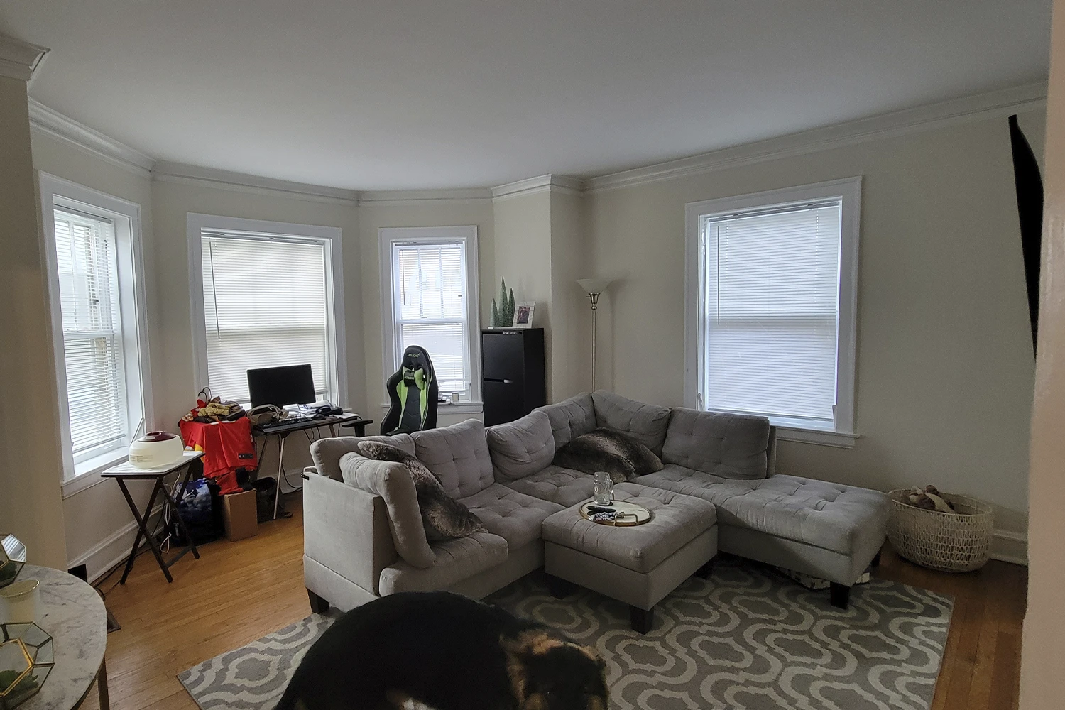 3701 N Hoyne Ave Apt 1, Chicago IL properties 3701-n-hoyne-chicago-il-60618-lake-view 3701-1