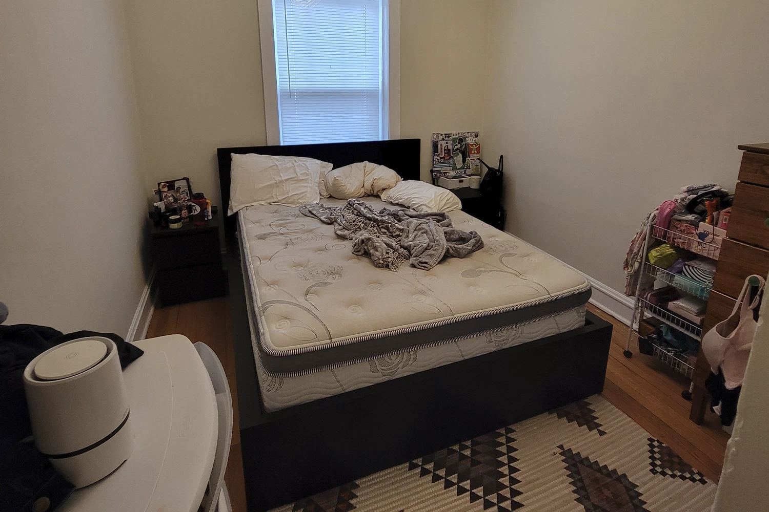 3701 N Hoyne Ave Apt 1, Chicago IL properties 3701-n-hoyne-chicago-il-60618-lake-view 3701-1