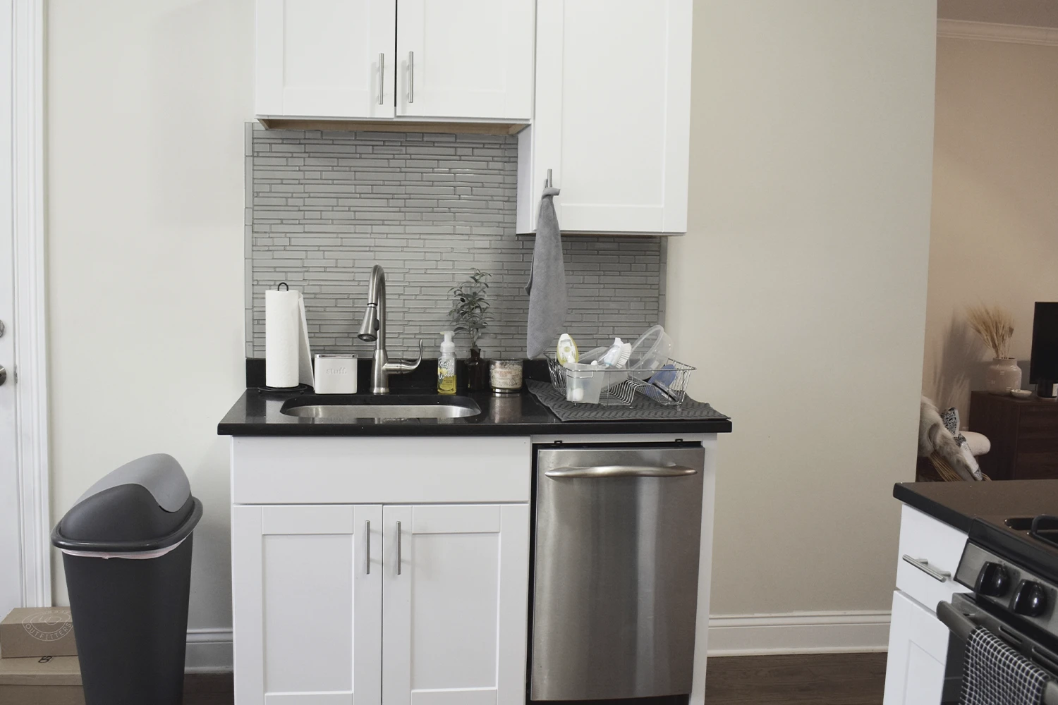 3819 N Greenview Ave Apt 1N, Chicago IL properties 3815-23-n-greenview-ave-chicago-il-60613-lake-view 3819-1n   