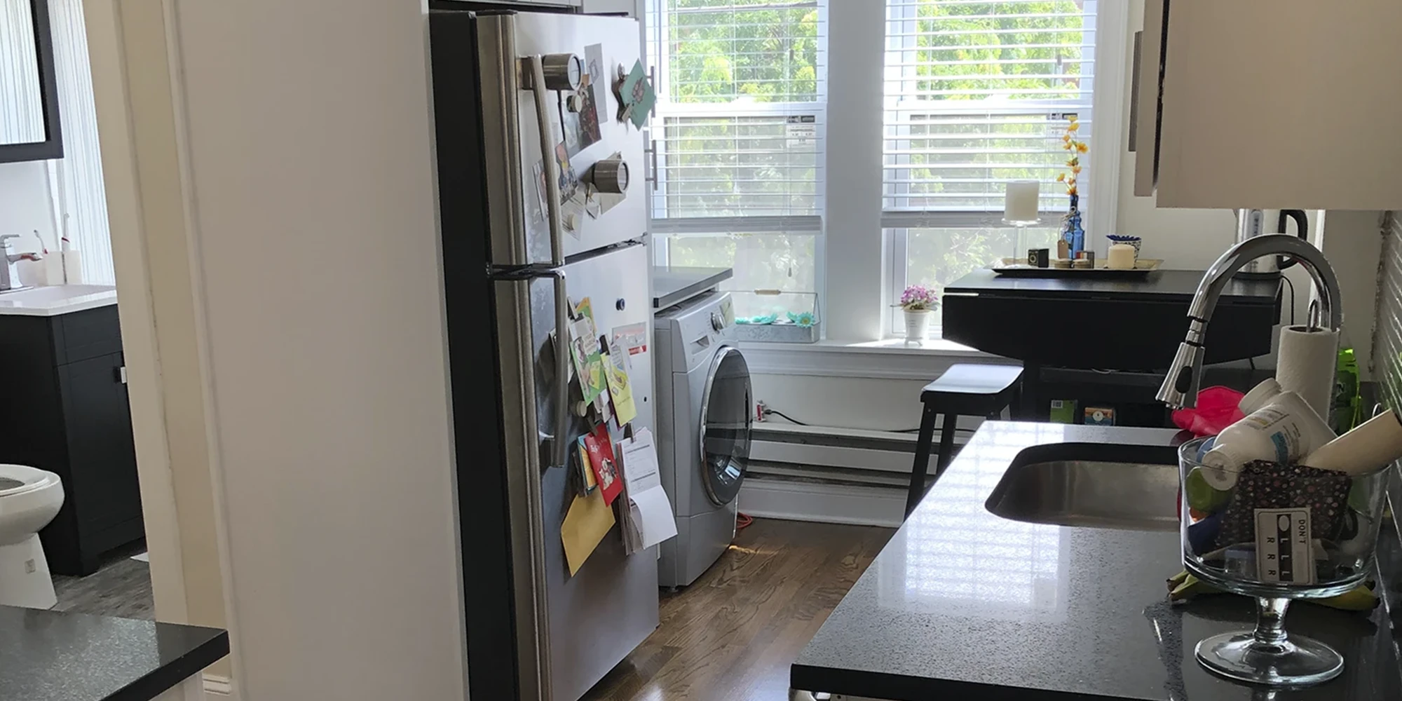 3819 N Greenview Ave Apt 2N, Chicago IL properties 3815-23-n-greenview-ave-chicago-il-60613-lake-view 3819-2n