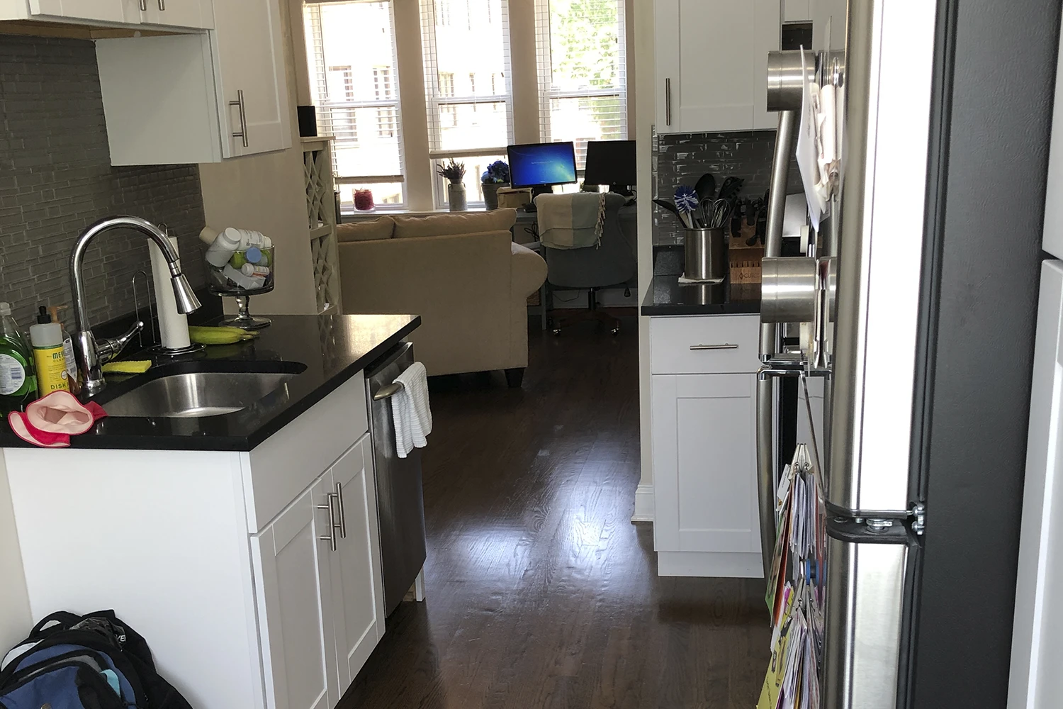 3819 N Greenview Ave Apt 2N, Chicago IL properties 3815-23-n-greenview-ave-chicago-il-60613-lake-view 3819-2n