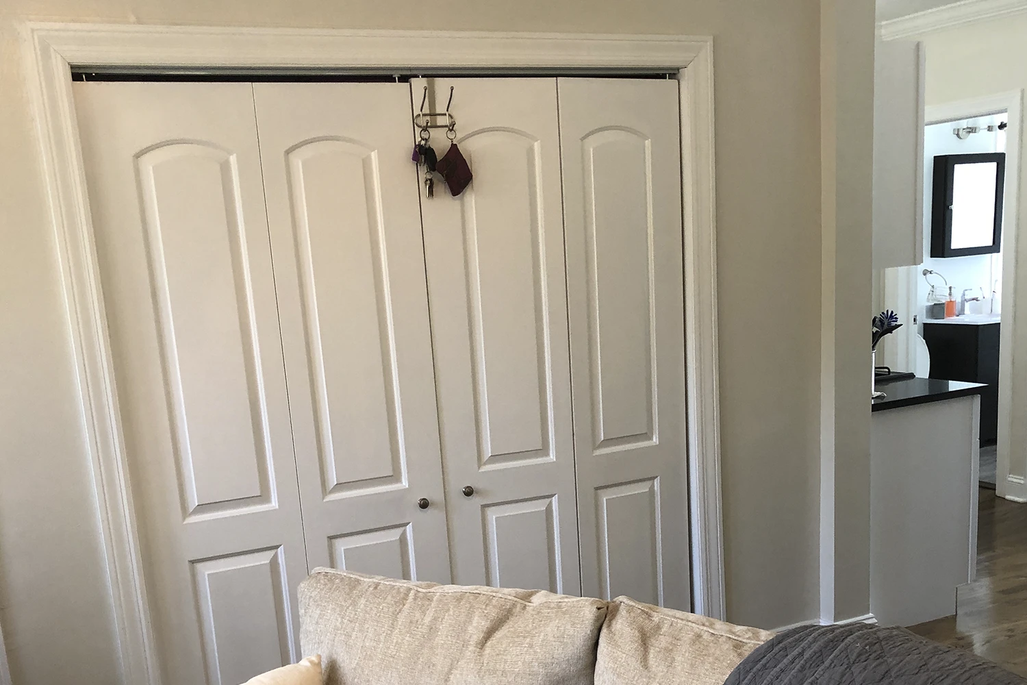 3819 N Greenview Ave Apt 2N, Chicago IL properties 3815-23-n-greenview-ave-chicago-il-60613-lake-view 3819-2n