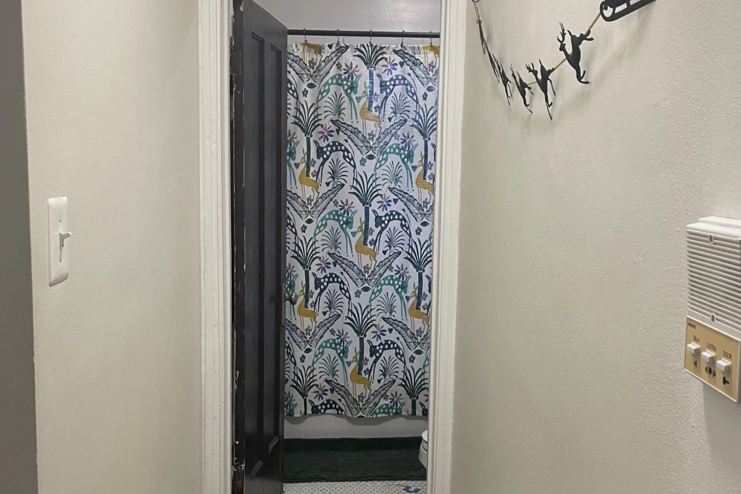 3819 N Greenview Ave Apt 2S, Chicago IL properties 3815-23-n-greenview-ave-chicago-il-60613-lake-view 3819-2s
