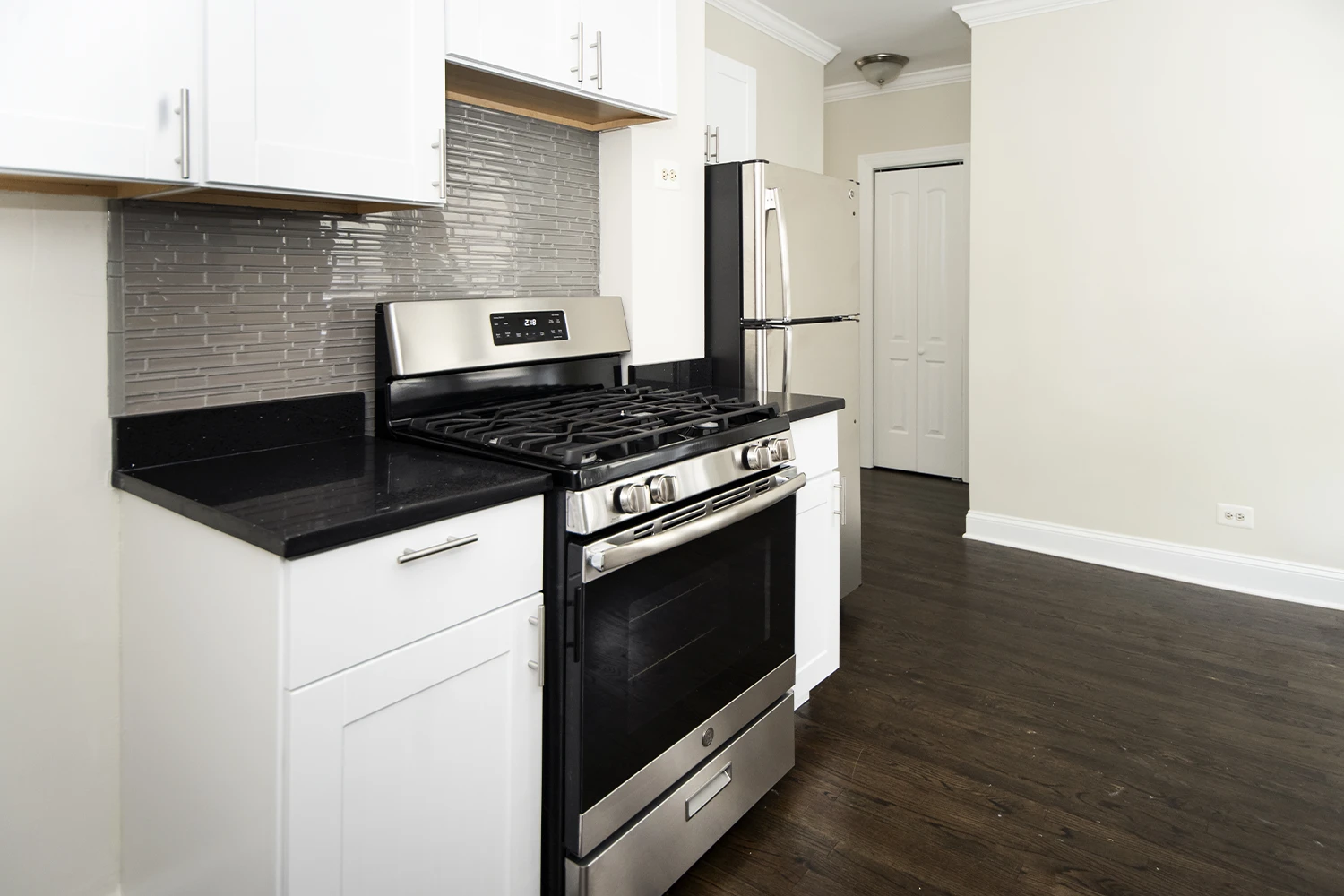 3819.5 N Greenview Ave Apt 1W, Chicago IL properties 3815-23-n-greenview-ave-chicago-il-60613-lake-view 3819-5-1w