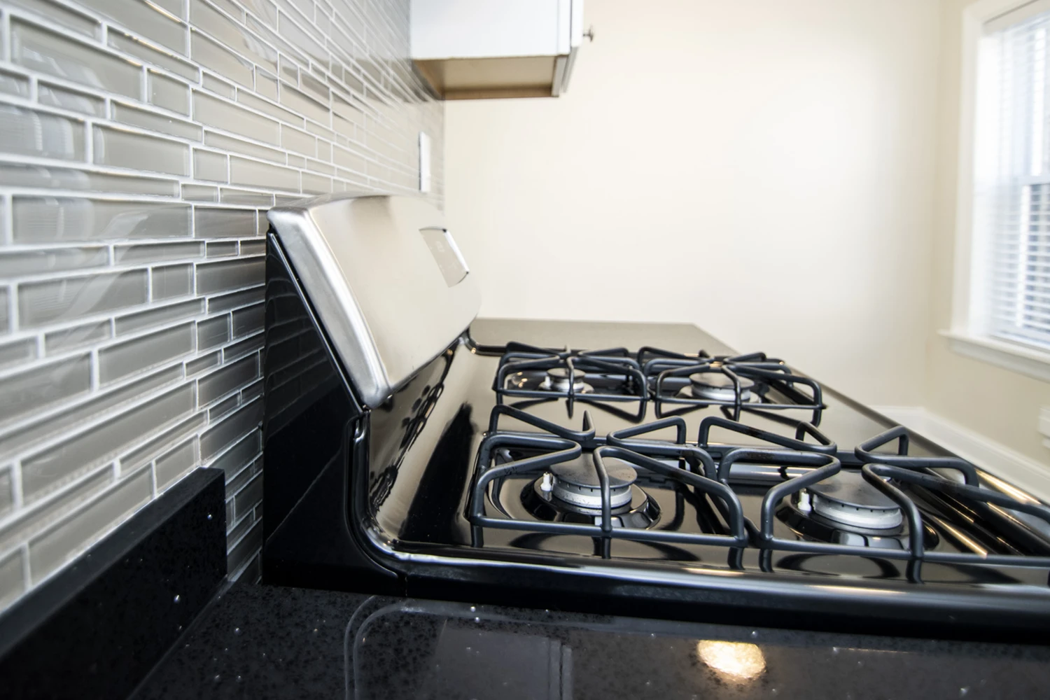 3821 N Greenview Ave Apt 1W, Chicago IL properties 3815-23-n-greenview-ave-chicago-il-60613-lake-view 3821-1w   