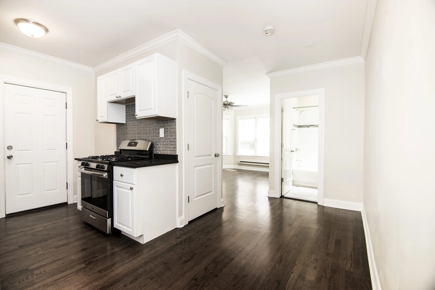3821 N Greenview Ave Apt 1W, Chicago IL properties 3815-23-n-greenview-ave-chicago-il-60613-lake-view 3821-1w   
