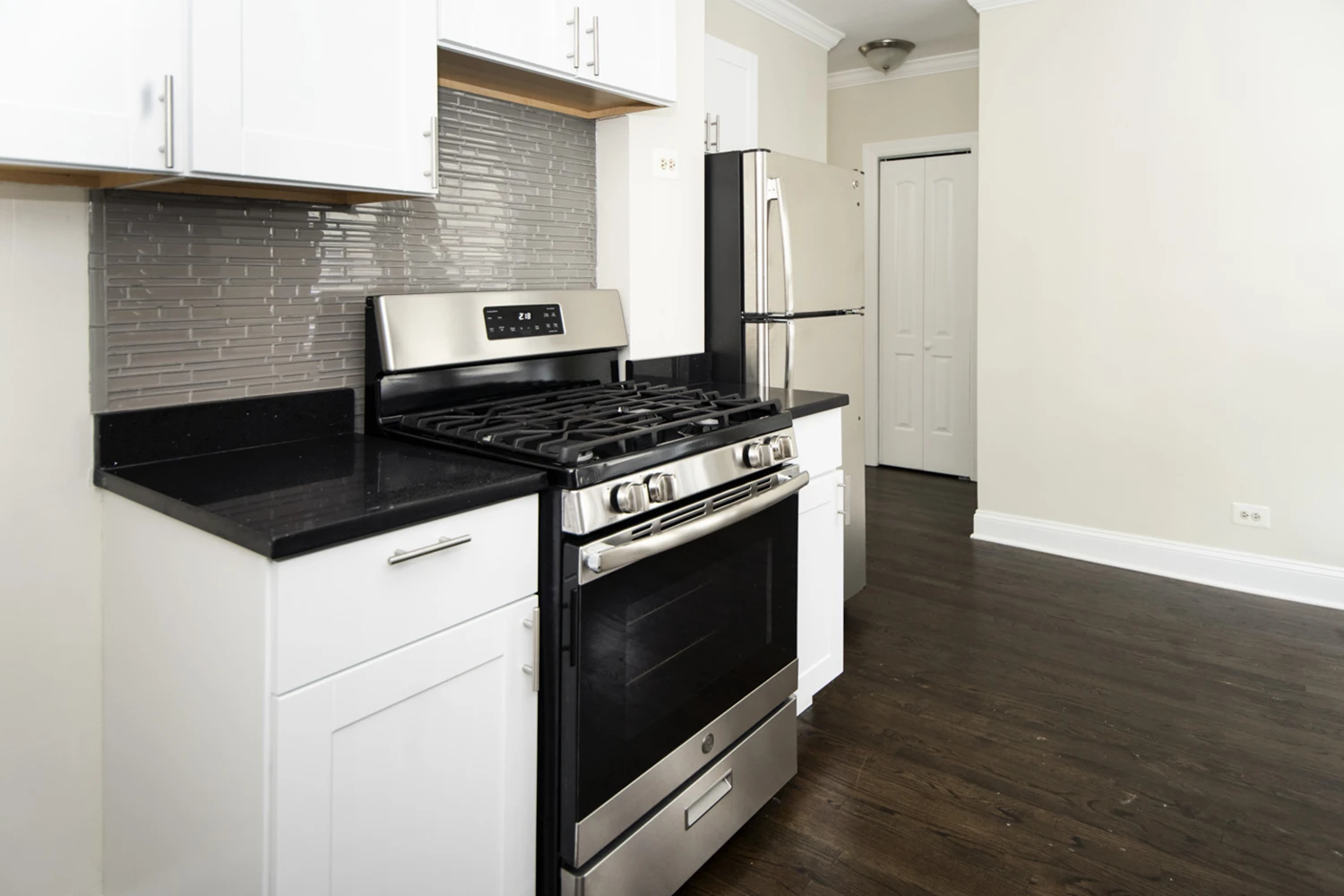 3821 N Greenview Ave Apt 2E, Chicago IL properties 3815-23-n-greenview-ave-chicago-il-60613-lake-view 3821-2e