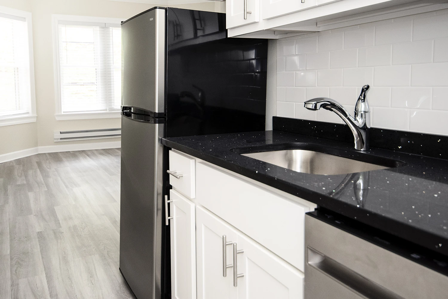 646.5 W Roscoe St Apt 2S, Chicago IL properties 646-48-w-roscoe-chicago-il-60657-lake-view 646-5-2s