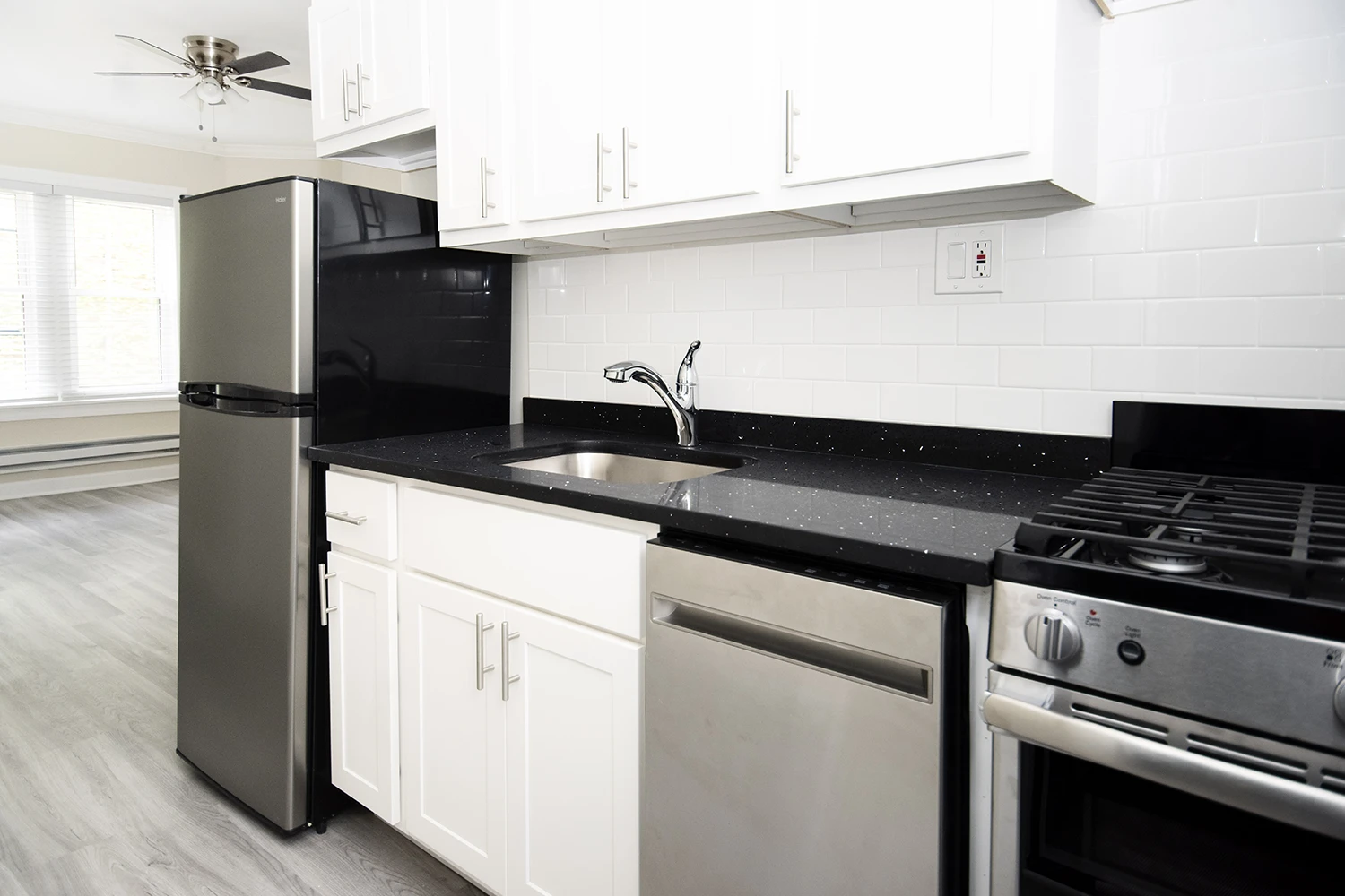 646.5 W Roscoe St Apt 2S, Chicago IL properties 646-48-w-roscoe-chicago-il-60657-lake-view 646-5-2s