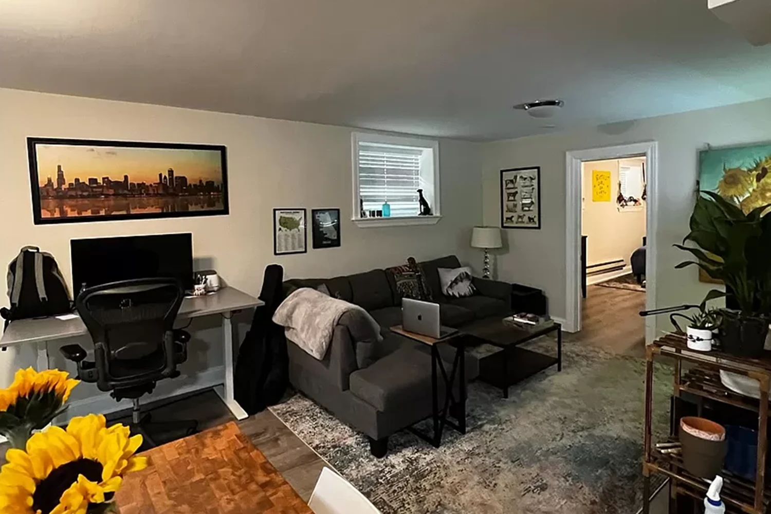 856 W George St Apt GDN, Chicago IL properties 2905-09-n-mildred-chicago-il-60657-lake-view 856-gdn