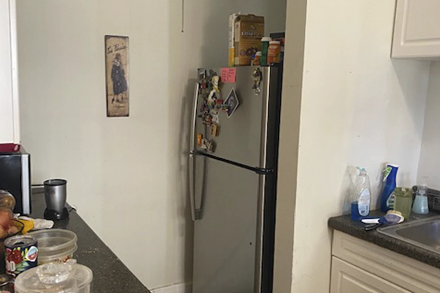 945 Judson Ave St Apt 1, Evanston IL properties 312-320-lee-st-evanston-il-60202 945-1
