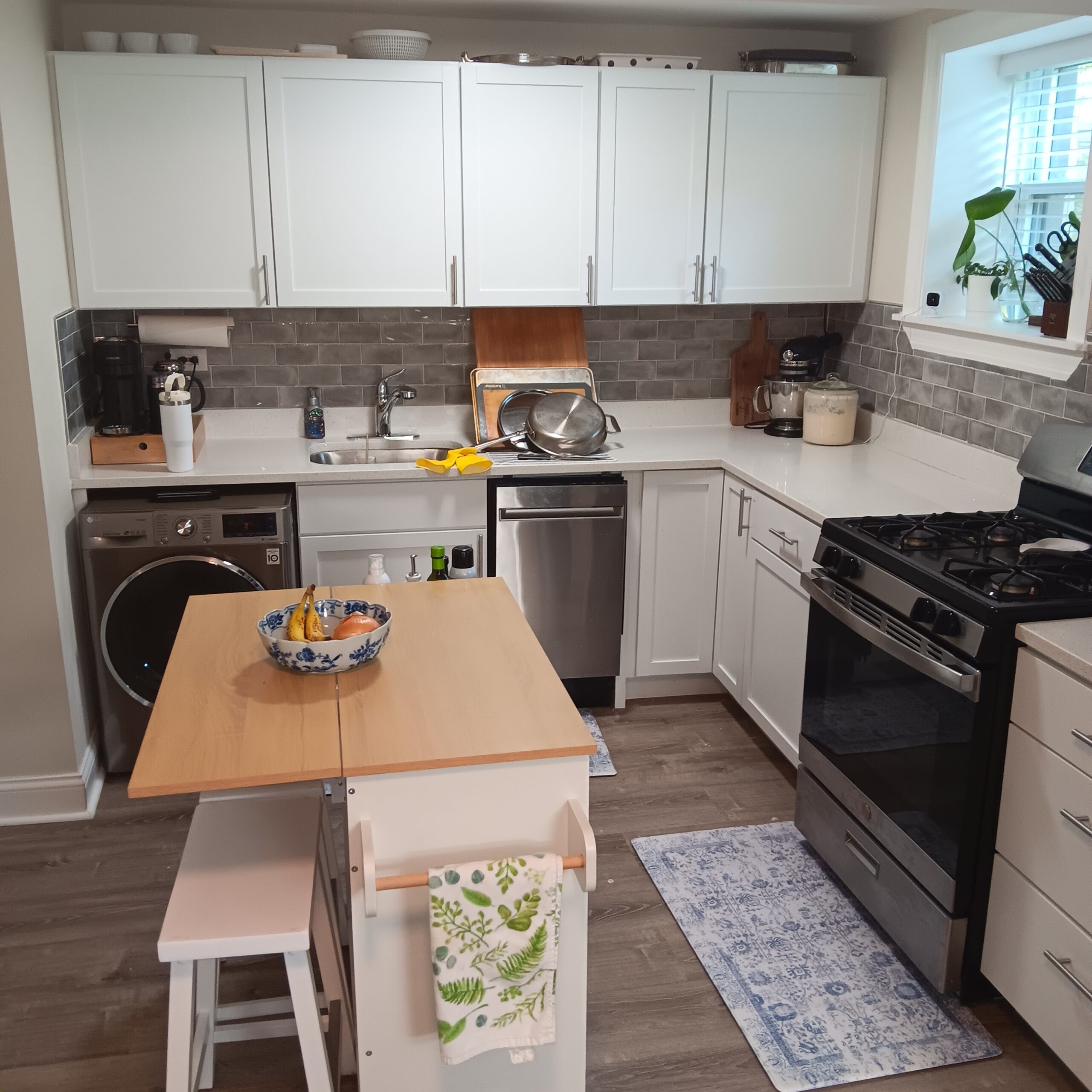 856 W George St Apt GDN, Chicago IL properties 2905-09-n-mildred-chicago-il-60657-lake-view 856-gdn
