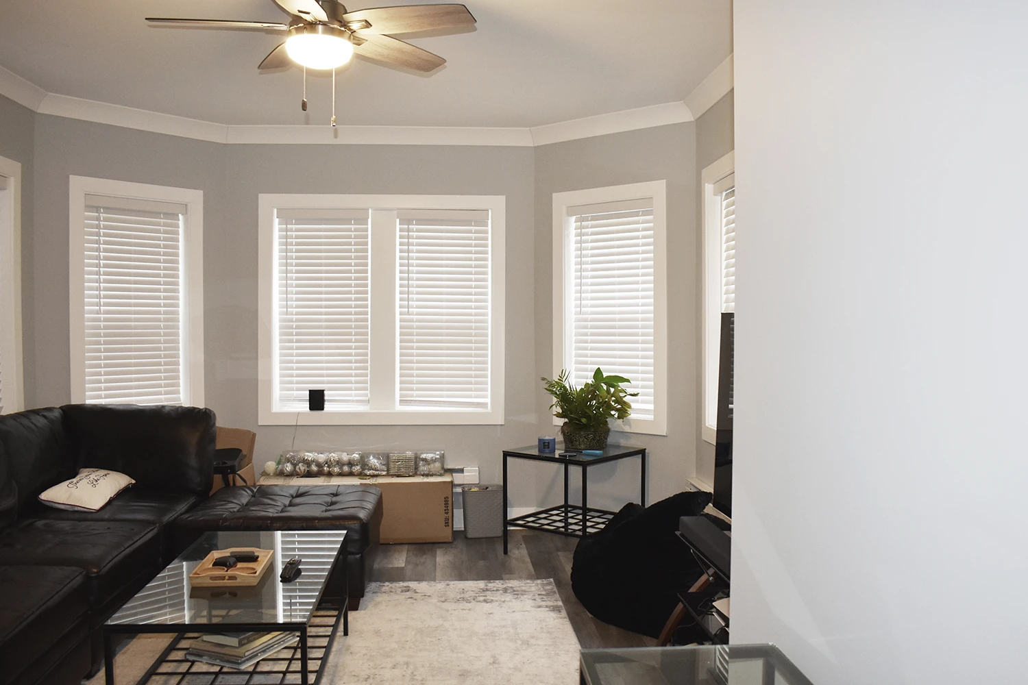 1417 W Hutchinson St Apt GDN, Chicago IL properties 4216-26-n-clark-st-chicago-il-60613-lake-view 1417-gdn