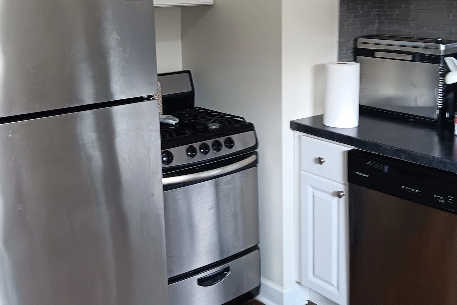 2147 N Fremont St Apt 1N, Chicago IL properties 2147-51-n-fremont-chicago-il-60614-lincoln-park 2147-1n