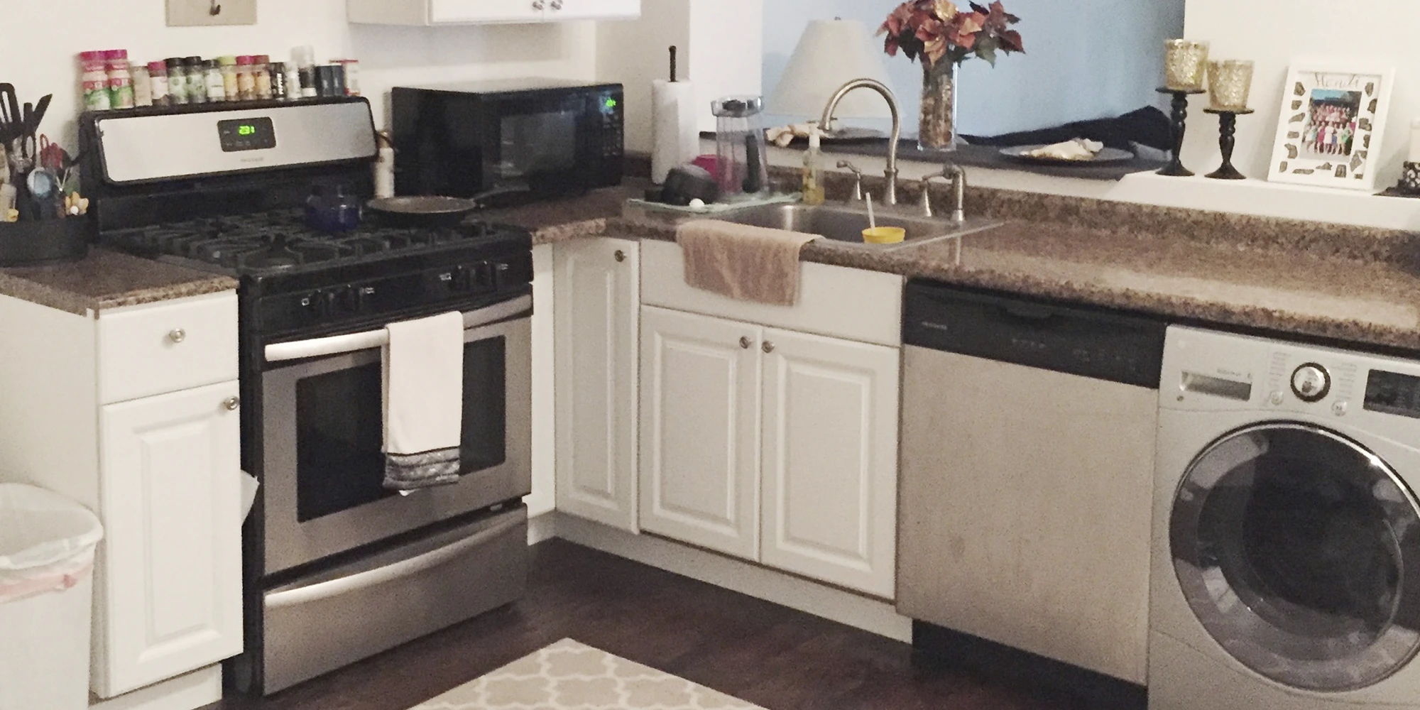 2905 N Mildred Ave Apt 1, Chicago IL properties 2905-09-n-mildred-chicago-il-60657-lake-view 2905-1