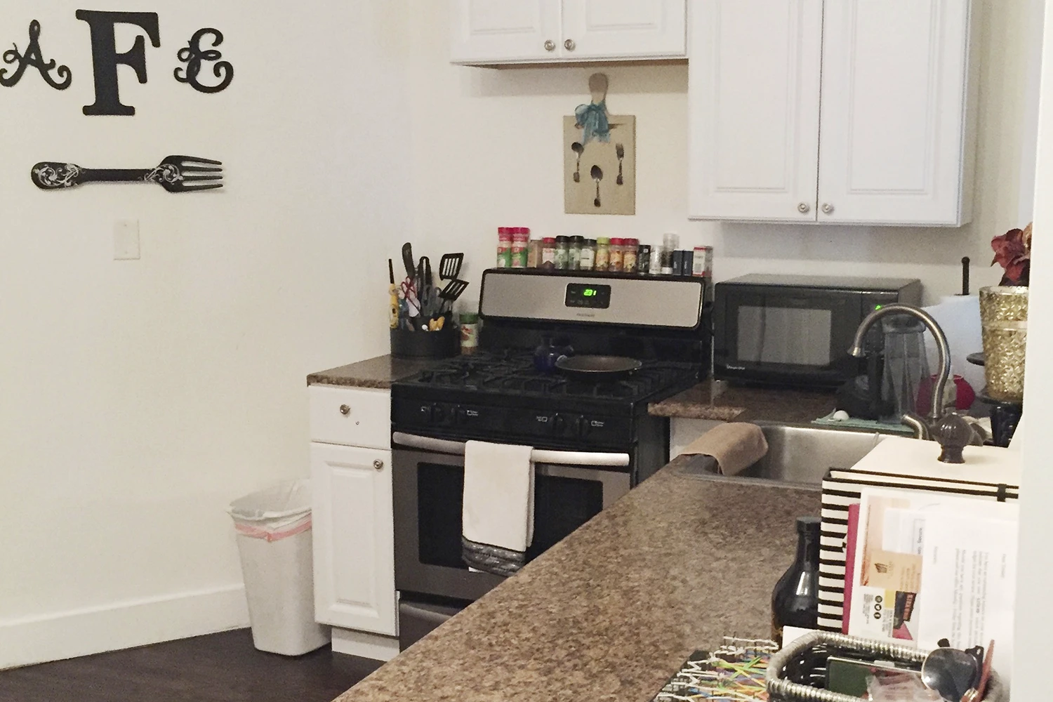 2905 N Mildred Ave Apt 1, Chicago IL properties 2905-09-n-mildred-chicago-il-60657-lake-view 2905-1
