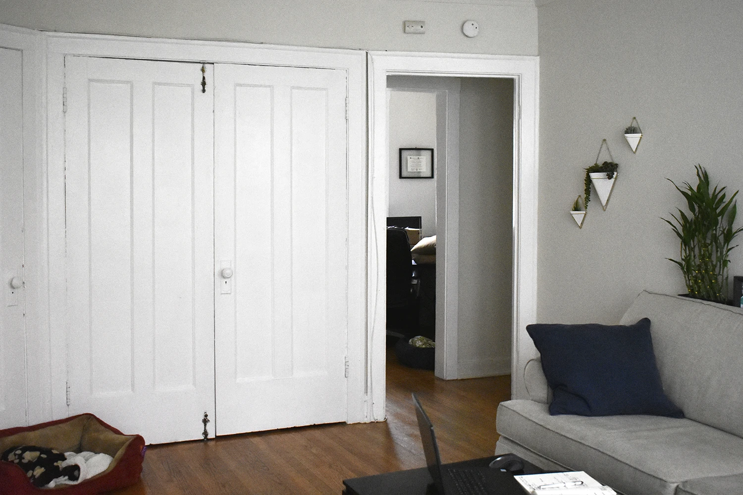 3839 N Greenview Ave Apt 1E, Chicago IL properties 3839-45-n-greenview-chicago-il-60613-lake-view 3839-1e   