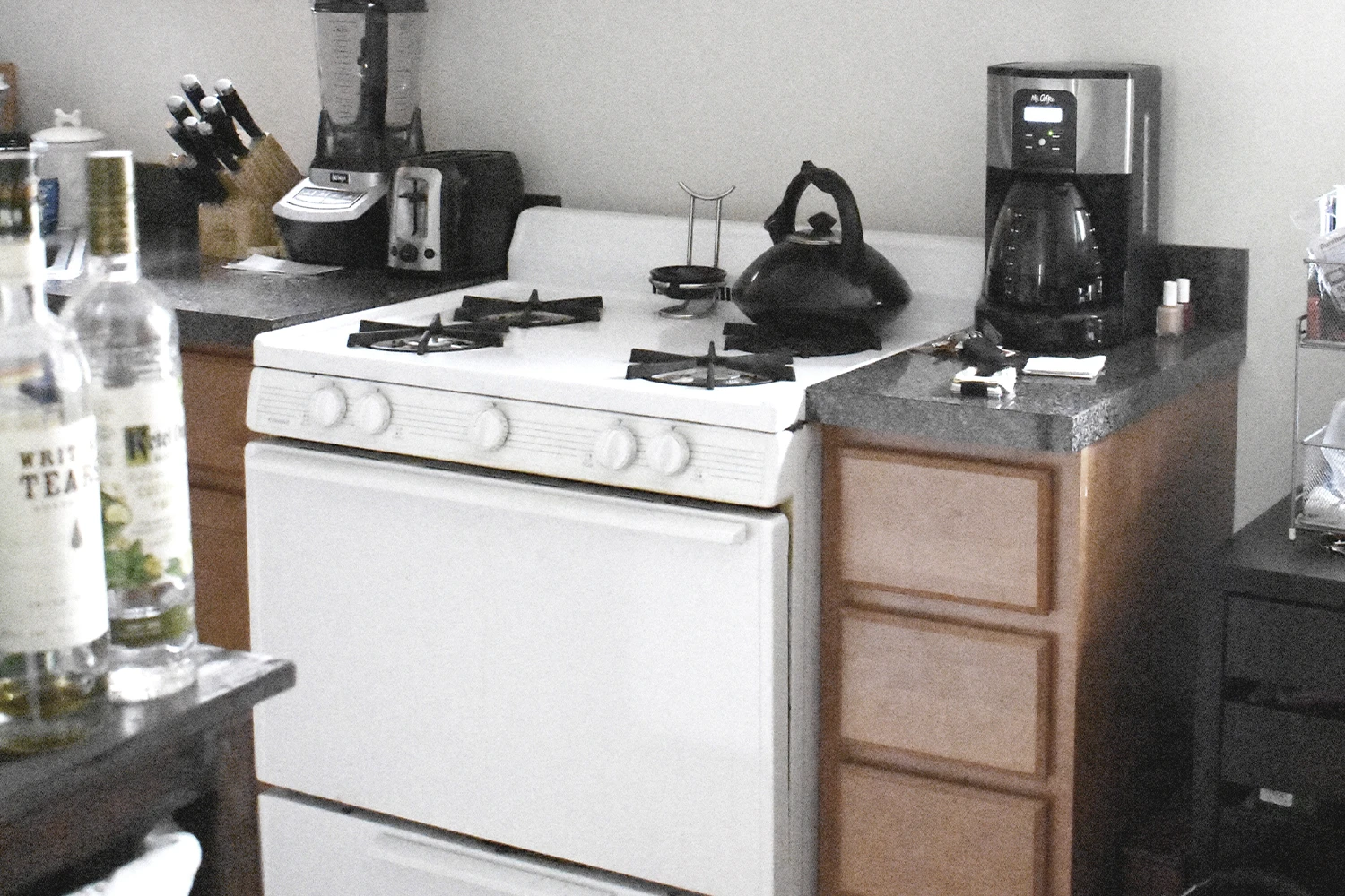 3839 N Greenview Ave Apt 1E, Chicago IL properties 3839-45-n-greenview-chicago-il-60613-lake-view 3839-1e   