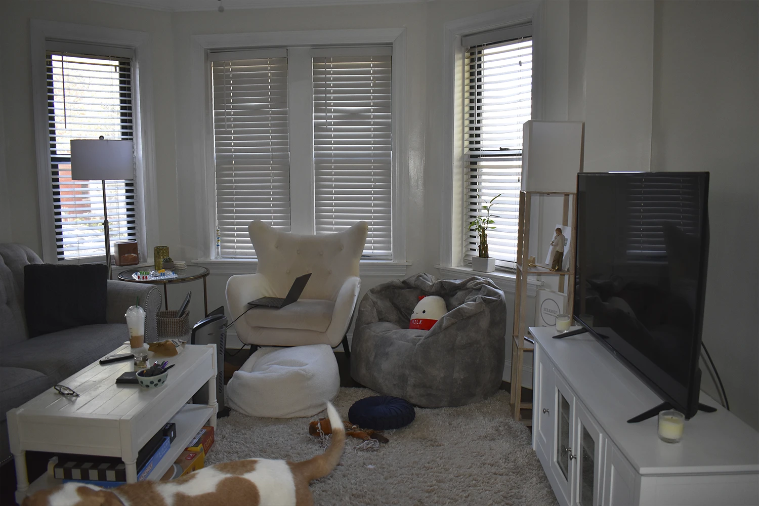 3839 N Greenview Ave Apt 1W, Chicago IL properties 3839-45-n-greenview-chicago-il-60613-lake-view 3839-1w