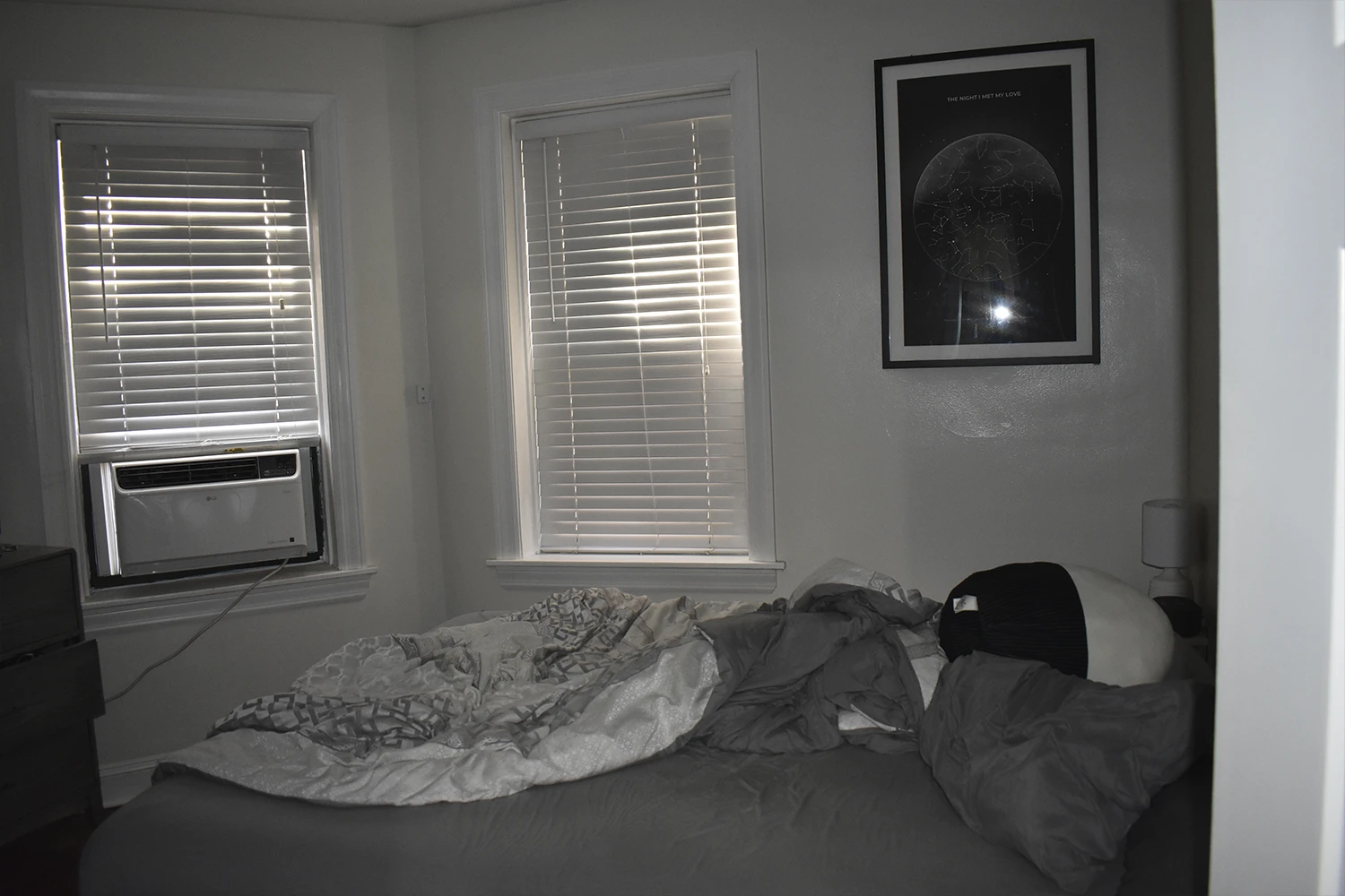 3839 N Greenview Ave Apt 1W, Chicago IL properties 3839-45-n-greenview-chicago-il-60613-lake-view 3839-1w