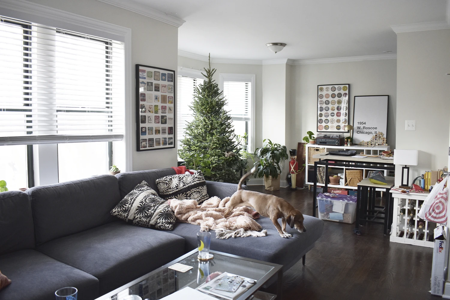 3839 N Greenview Ave Apt 2W, Chicago IL properties 3839-45-n-greenview-chicago-il-60613-lake-view 3839-2w