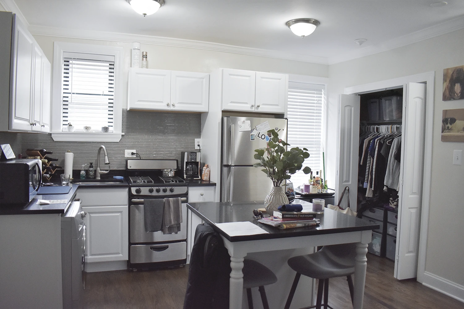 3839 N Greenview Ave Apt 2E, Chicago IL properties 3839-45-n-greenview-chicago-il-60613-lake-view 3839-2e