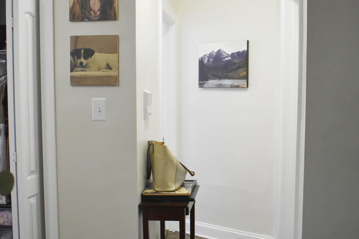 3839 N Greenview Ave Apt 2E, Chicago IL properties 3839-45-n-greenview-chicago-il-60613-lake-view 3839-2e