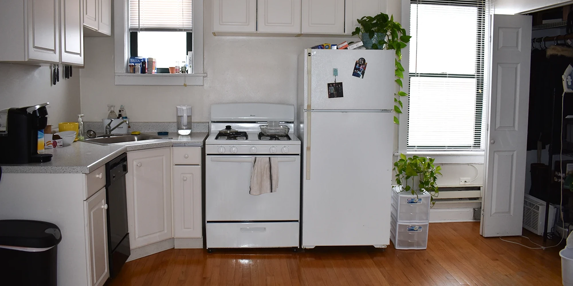 3839 N Greenview Ave Apt 3E, Chicago IL properties 3839-45-n-greenview-chicago-il-60613-lake-view 3839-3e