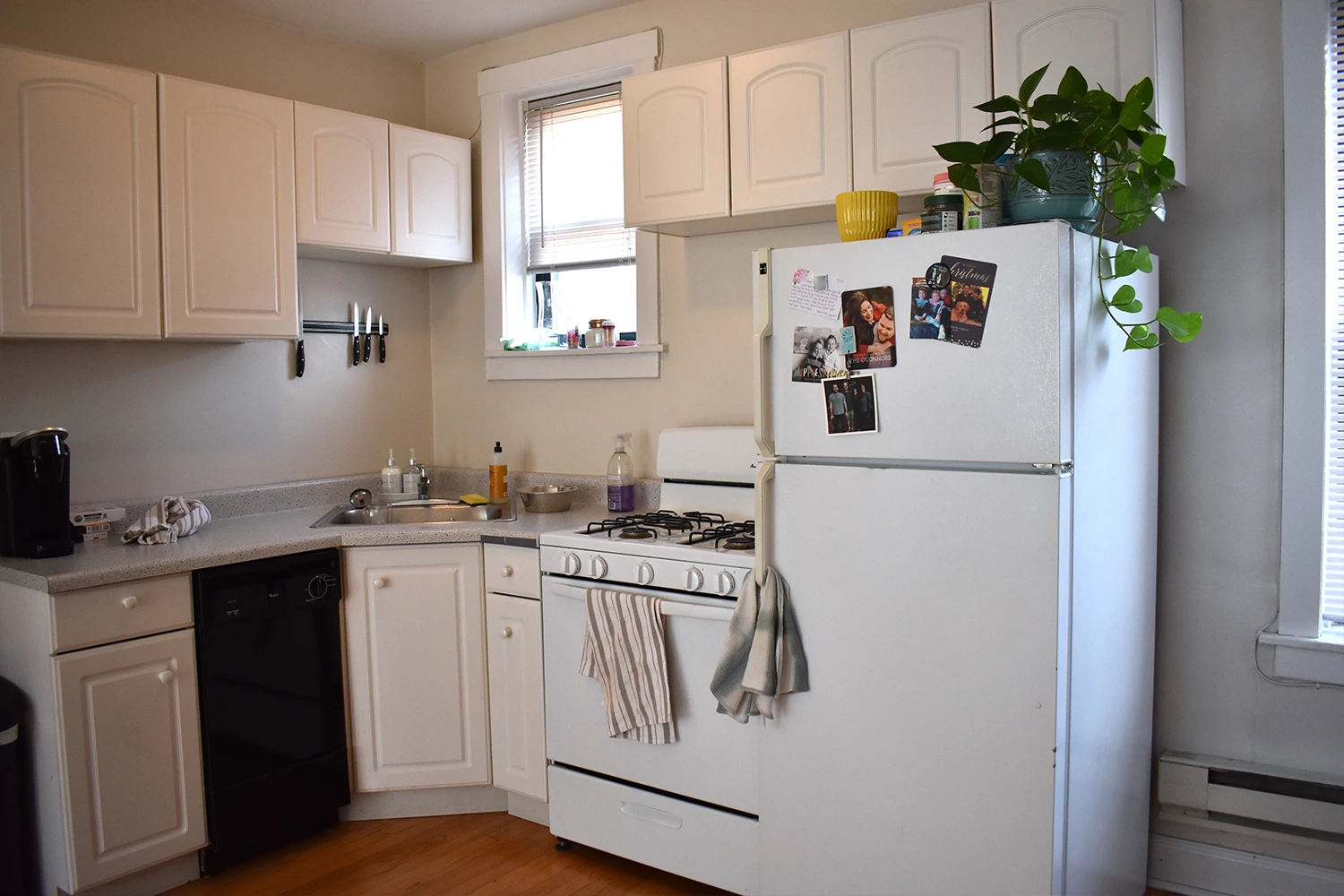 3839 N Greenview Ave Apt 3E, Chicago IL properties 3839-45-n-greenview-chicago-il-60613-lake-view 3839-3e