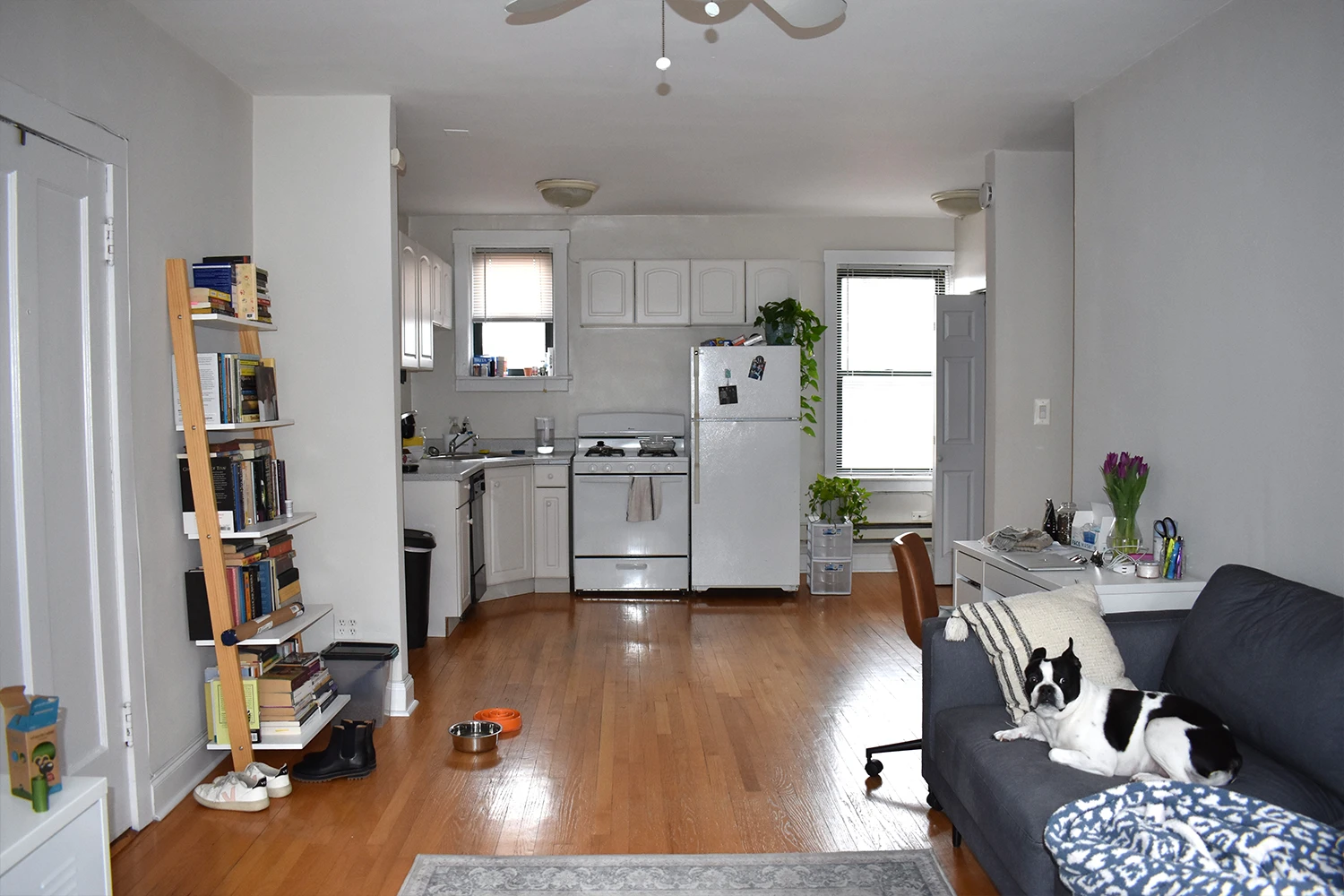3839 N Greenview Ave Apt 3E, Chicago IL properties 3839-45-n-greenview-chicago-il-60613-lake-view 3839-3e