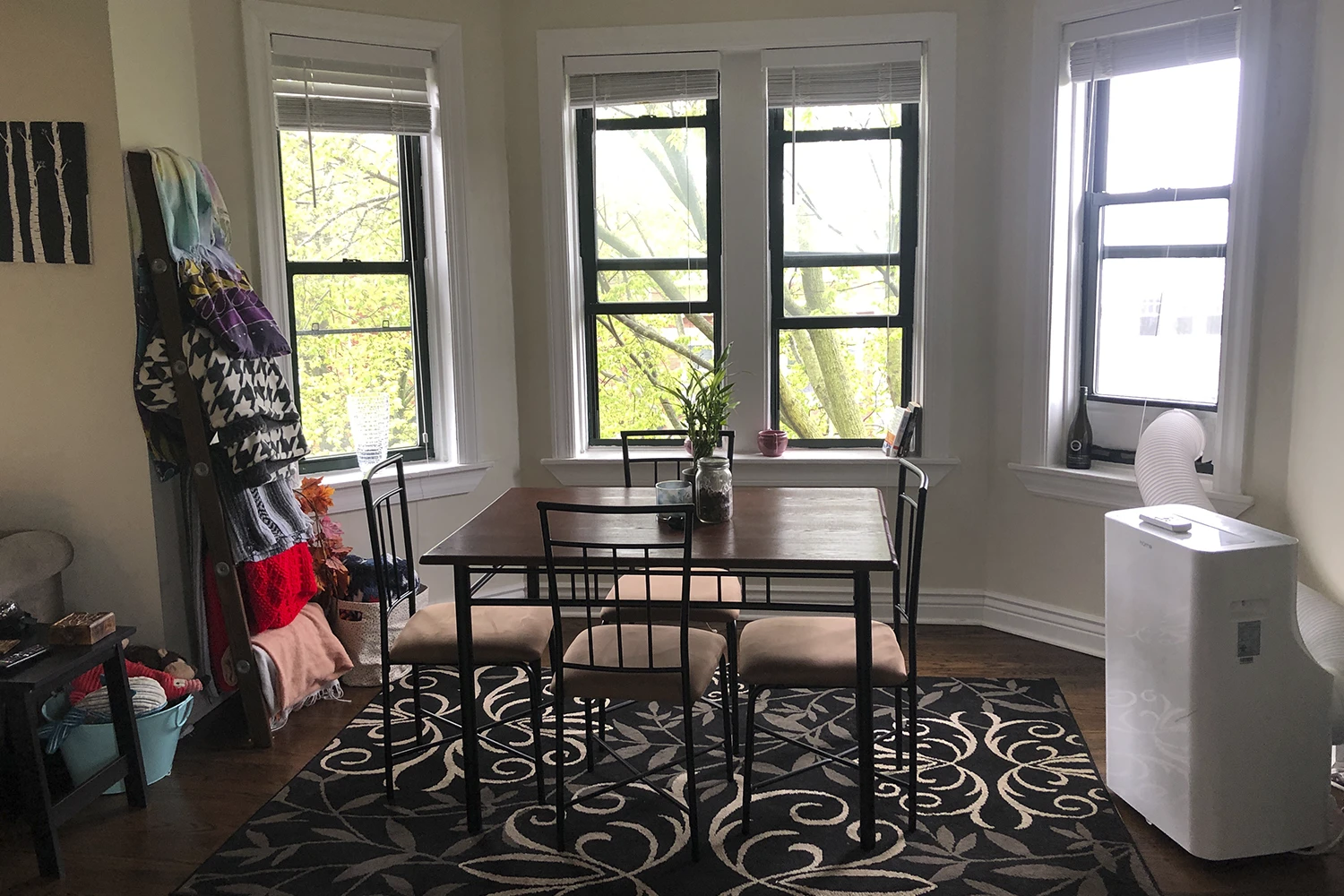 3839 N Greenview Ave Apt 3W, Chicago IL properties 3839-45-n-greenview-chicago-il-60613-lake-view 3839-3w