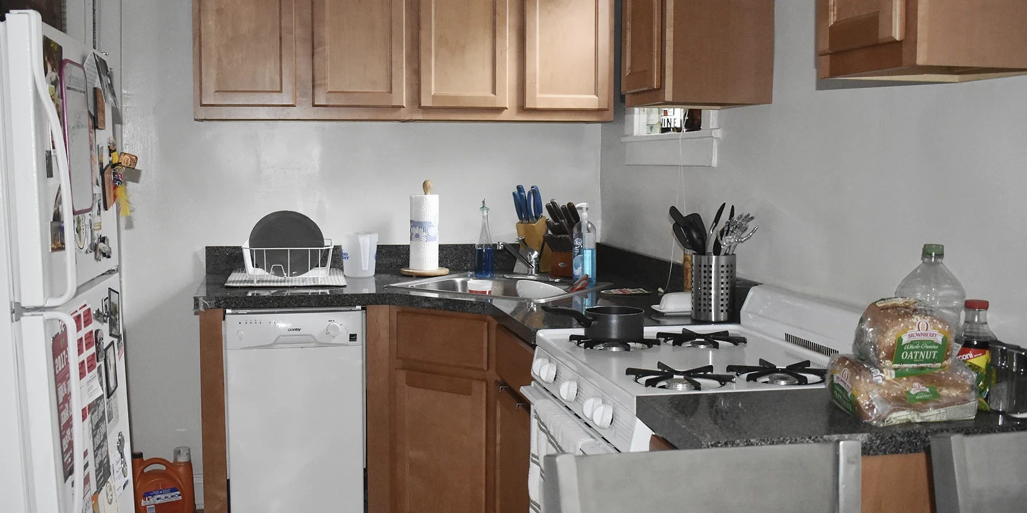 3841 N Greenview Ave Apt 1E, Chicago IL properties 3839-45-n-greenview-chicago-il-60613-lake-view 3841-1e