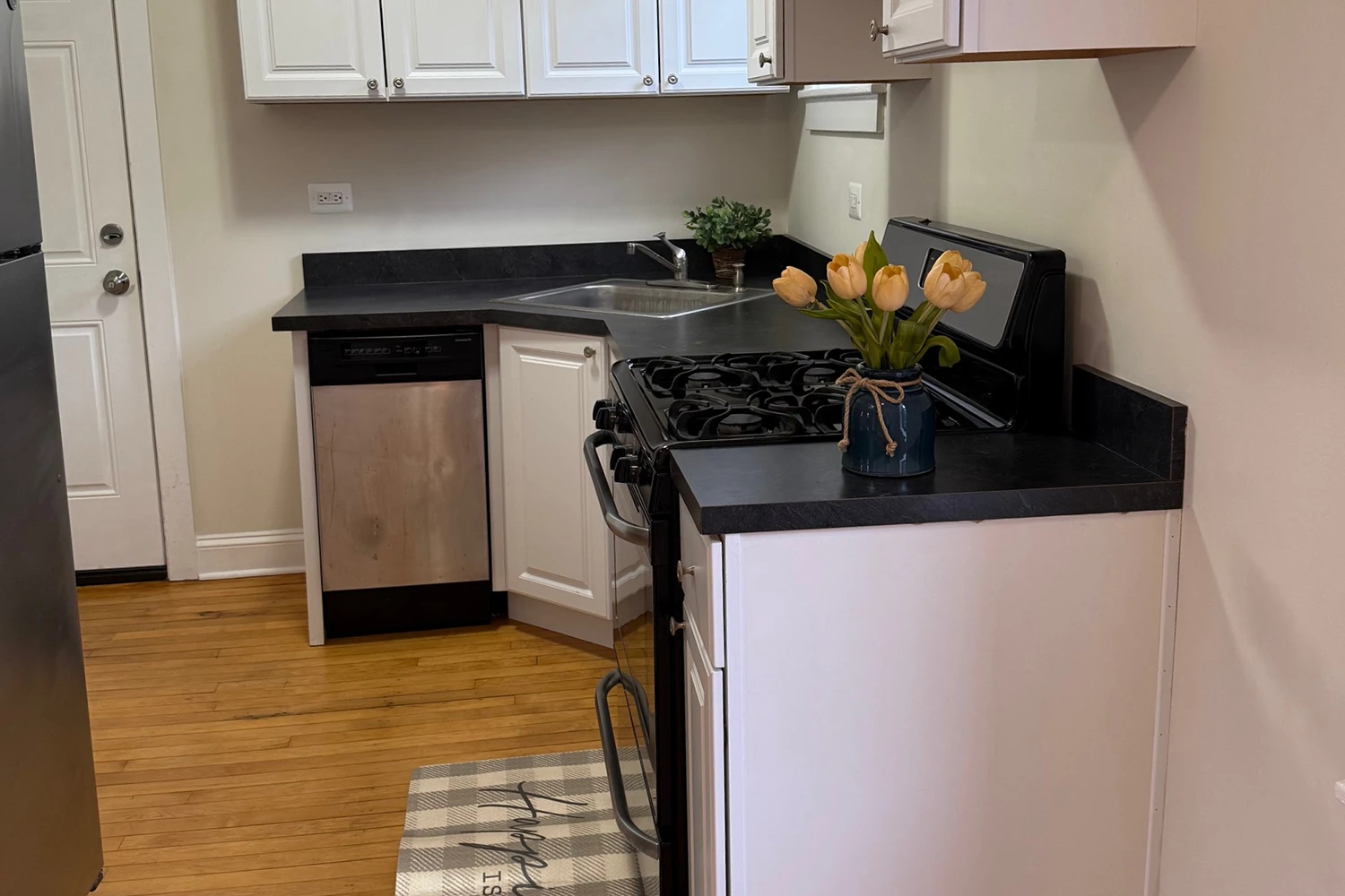 3841 N Greenview Ave Apt 2E, Chicago IL properties 3839-45-n-greenview-chicago-il-60613-lake-view 3841-2e