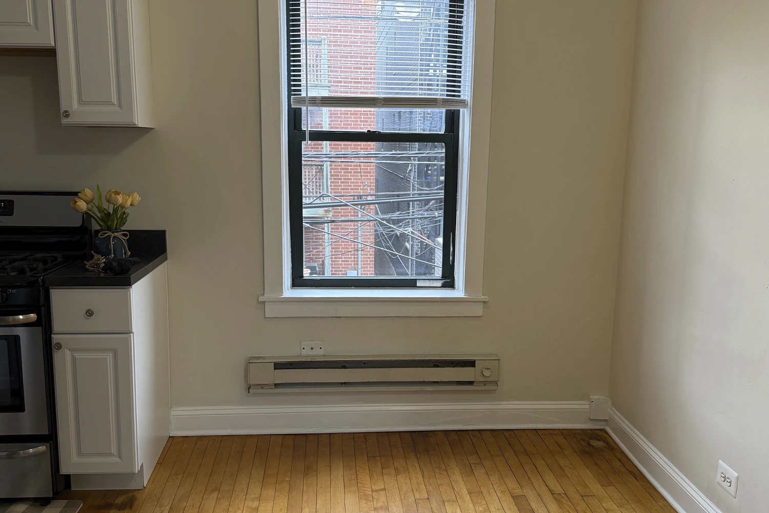 3841 N Greenview Ave Apt 2E, Chicago IL properties 3839-45-n-greenview-chicago-il-60613-lake-view 3841-2e