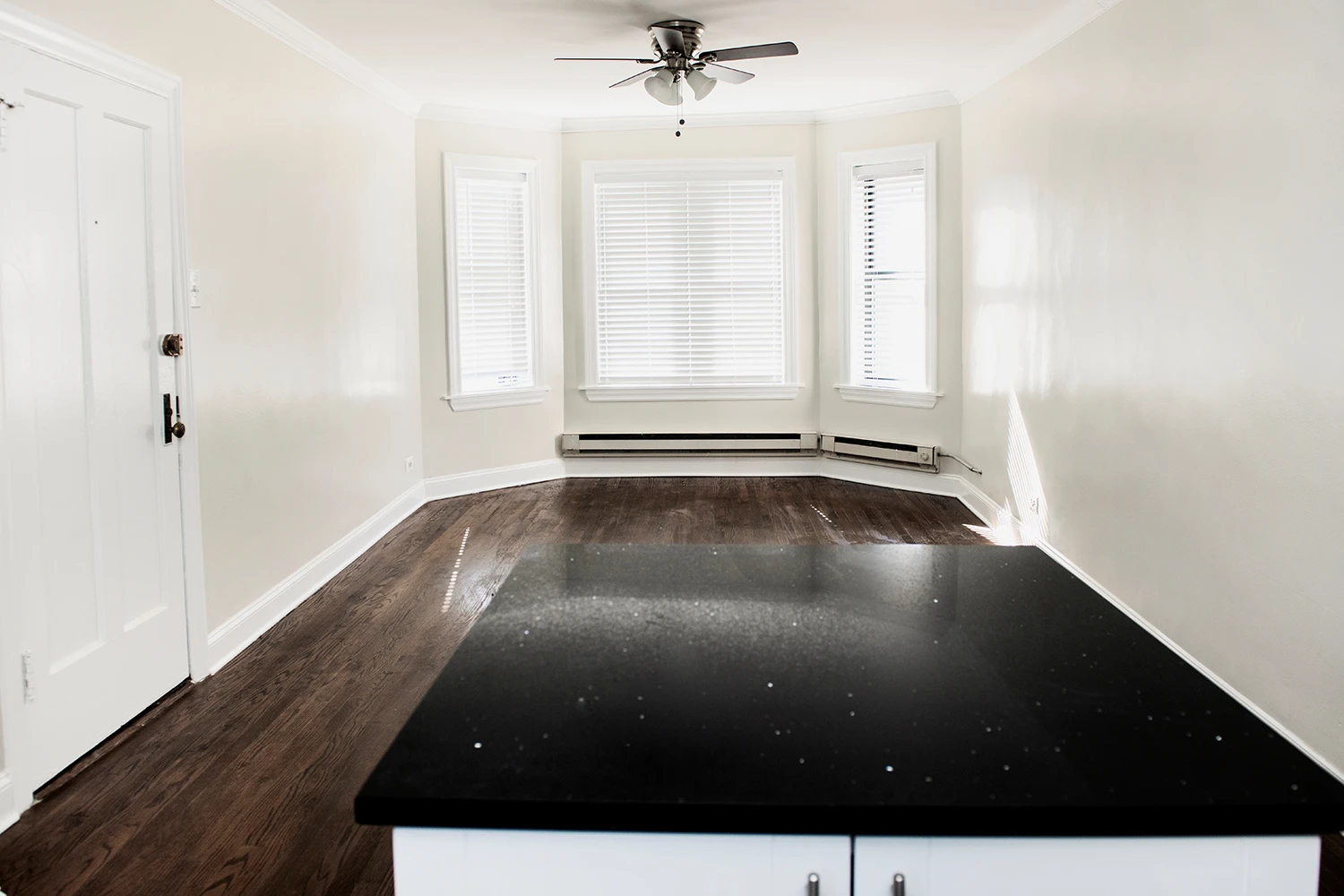 3841 N Greenview Ave Apt 3W, Chicago IL properties 3839-45-n-greenview-chicago-il-60613-lake-view 3841-3w