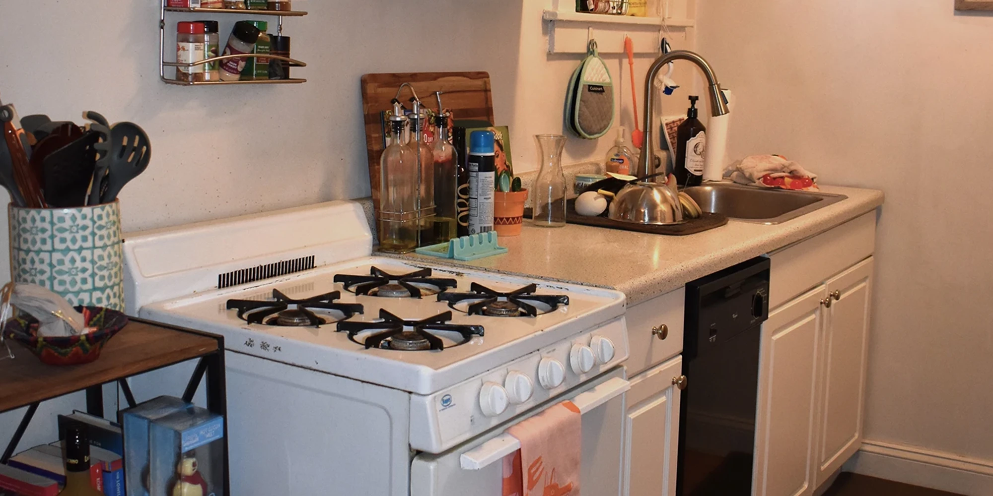 3843 N Greenview Ave Apt 1, Chicago IL properties 3839-45-n-greenview-chicago-il-60613-lake-view 3843-1