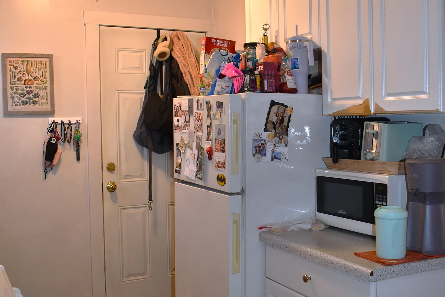 3843 N Greenview Ave Apt 1, Chicago IL properties 3839-45-n-greenview-chicago-il-60613-lake-view 3843-1