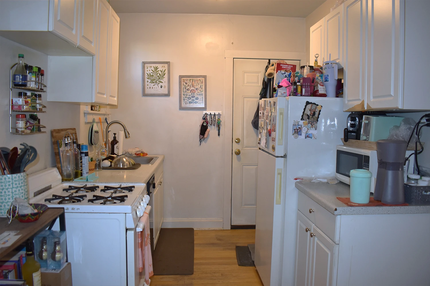 3843 N Greenview Ave Apt 1, Chicago IL properties 3839-45-n-greenview-chicago-il-60613-lake-view 3843-1