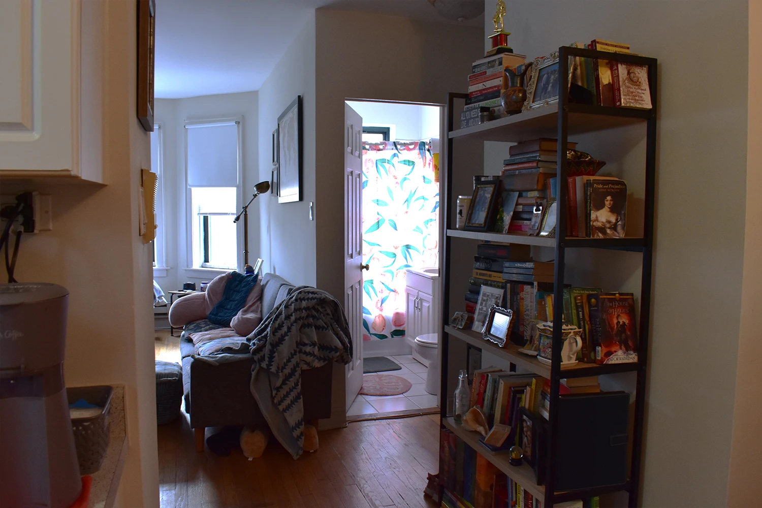 3843 N Greenview Ave Apt 1, Chicago IL properties 3839-45-n-greenview-chicago-il-60613-lake-view 3843-1